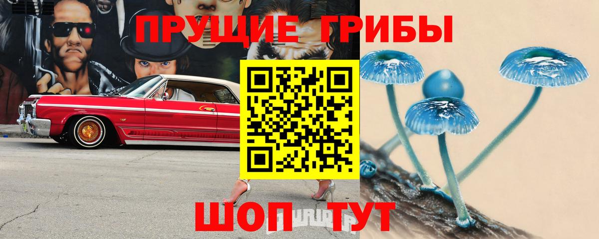 Псилоцибиновые грибы MAGIC MUSHROOMS  Вход с VPN  Нарткала  Псилоцибиновые грибы ЛСД 